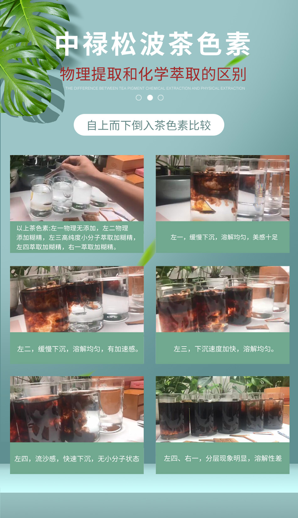 茶色素物理提取和化学萃取的区别