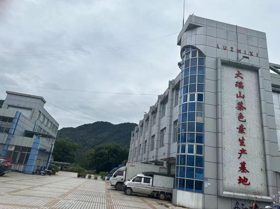 大瑶山茶色素生产基地.jpg